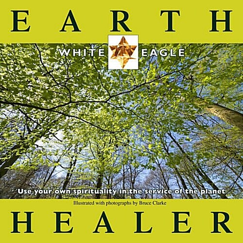 Earth Healer : Use Your Own Spirituality in the Service of the Planet (Paperback)