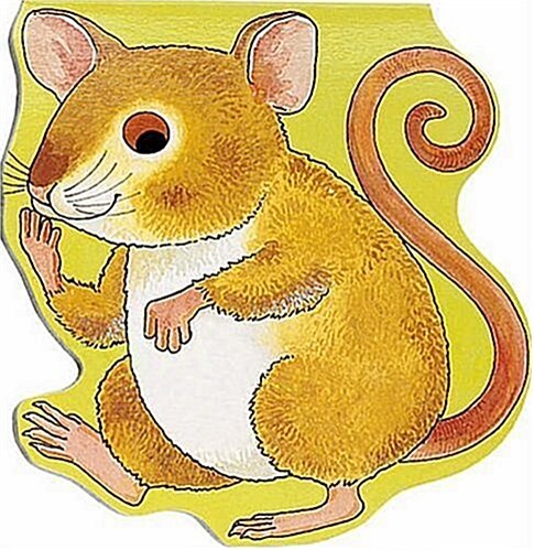 Pocket Mouse (Board Book)