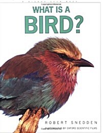 What Is a Bird? (Paperback)
