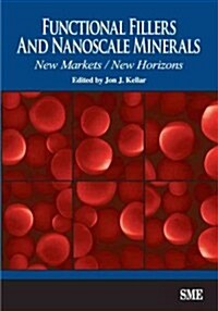 Functional Fillers and Nanoscale Minerals: New Markets/New Horizons (Paperback)