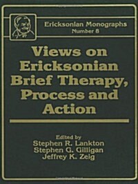 Views on Ericksonian Brief Therapy (Hardcover)