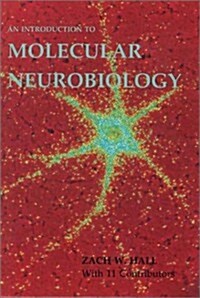 An Introduction to Molecular Neurobiology (Hardcover)