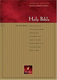 Holy Bible New Living Translation (Paperback, BOX)