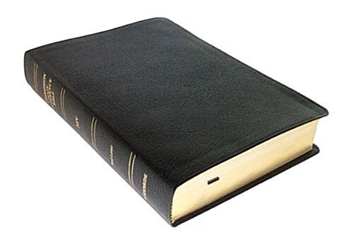 Thompson Chain Reference Bible-NIV (Bonded Leather, 2)