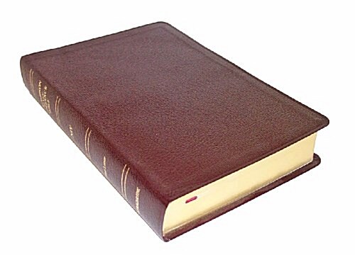 Thompson Chain-Reference Bible-NIV (Bonded Leather)