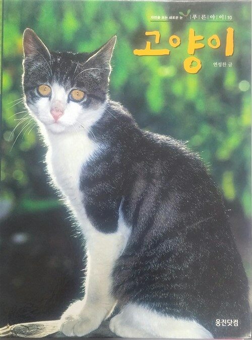 고양이 표지이미지