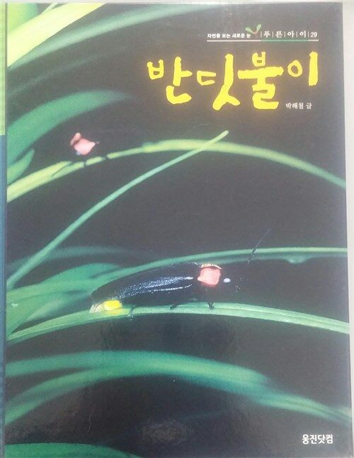 반딧불이 표지이미지