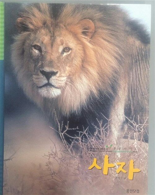 사자 표지이미지