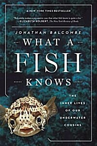 What a Fish Knows: The Inner Lives of Our Underwater Cousins (Paperback)