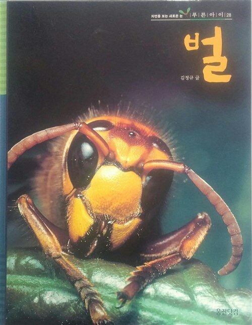 벌 표지이미지