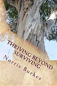 Thriving Beyond Surviving: Stories of Resilience from a Hospital Chaplain (Paperback)
