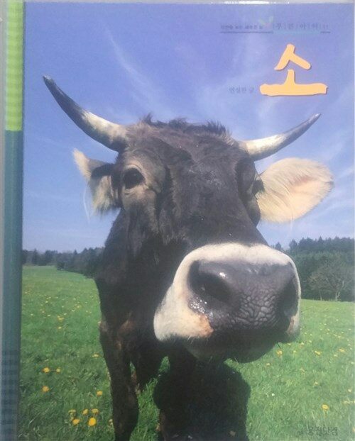 소 표지이미지