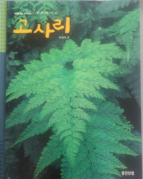 고사리 표지이미지