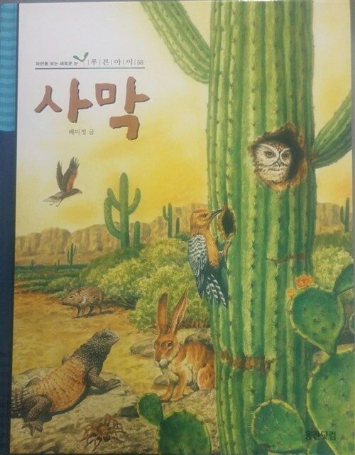 사막 표지이미지