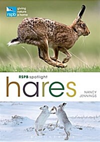 Rspb Spotlight Hares (Paperback)