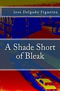 A Shade Short of Bleak (Paperback)