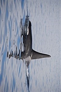 A Solo Orca Killer Whale in the Ocean, for the Love of the Sea: Blank 150 Page Lined Journal for Your Thoughts, Ideas, and Inspiration (Paperback)