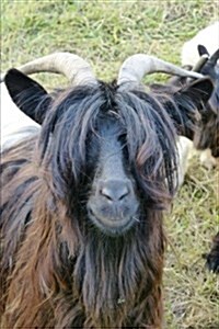 Brown Longhaired Goat Animal Journal: 150 Page Lined Notebook/Diary (Paperback)