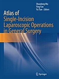 Atlas of Single-Incision Laparoscopic Operations in General Surgery (Paperback, Softcover Repri)