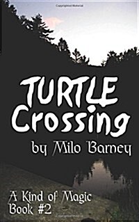 Turtle Crossing (Paperback)