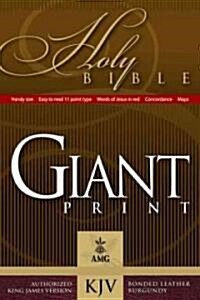 Giant Print Handy-Size Bible (Bonded Leather)