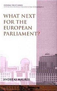 What Next for the European Parliament? (Paperback)