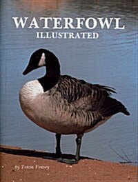 Waterfowl Illustrated (Hardcover)