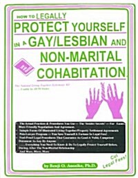 How to Legally Protect Yourself in a Gay/Lesbian and Non-Marital Cohabitation (Paperback)