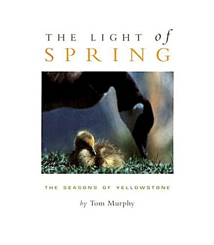 The Light of Spring: The Seasons of Yellowstone (Hardcover)