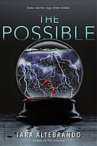 The Possible (Hardcover)