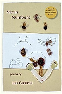 Mean Numbers (Paperback)