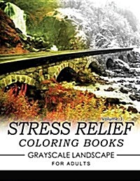 Stress Relief Coloring Books Grayscale Landscape for Adults Volume 3 (Paperback)