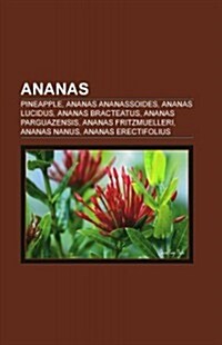 Ananas: Pineapple, Ananas Ananassoides, Ananas Lucidus, Ananas Bracteatus, Ananas Parguazensis, Ananas Fritzmuelleri, Ananas N (Paperback)