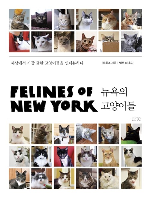[중고] 뉴욕의 고양이들