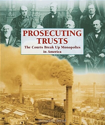 Prosecuting Trusts (Paperback)