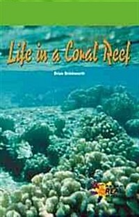 Life in a Coral Reef (Library Binding)