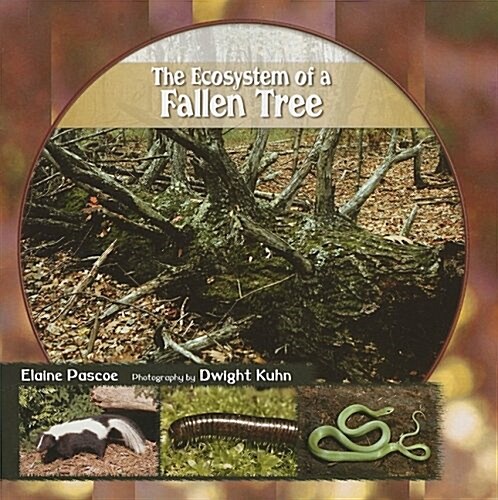 The Ecosystem of a Fallen Tree (Paperback)