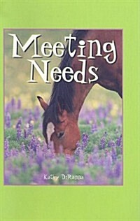 Meeting Needs (Paperback)