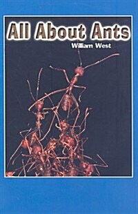 All About Ants (Paperback)