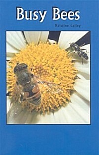 Busy Bees (Paperback)