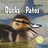 Ducks / Patos (Library Binding)