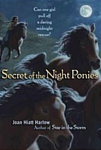 Secret of the Night Ponies (Paperback)