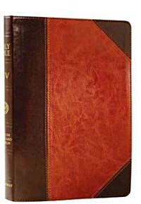 Holy Bible (Paperback)