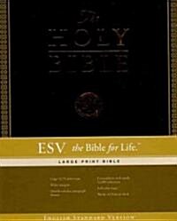 Holy Bible (Paperback, BOX, LEA, Large Print)