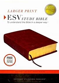 Holy Bible (Paperback, LEA, LGR)