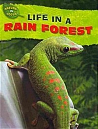 Life in a Rain Forest (Paperback)