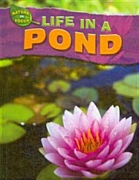 Life in a Pond (Library Binding)