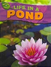 Life in a Pond (Paperback)