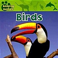 Birds (Paperback)