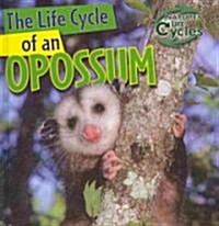 The Life Cycle of an Opossum (Library Binding)